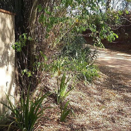 Sitio Alvorada - Paraiso Localizado No Circuito Das Aguas Paulista Amparo  Εξωτερικό φωτογραφία